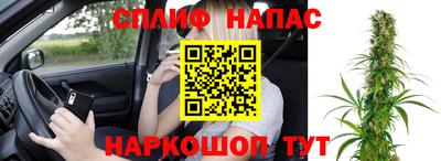 прущие крисы Будённовск