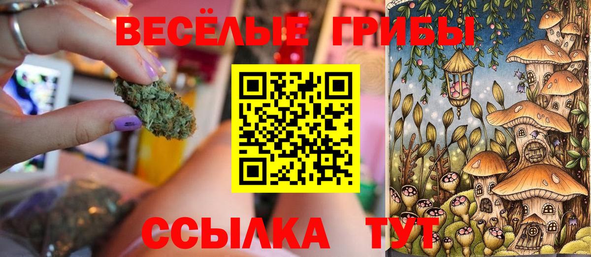 Галлюциногенные грибы MAGIC MUSHROOMS Снежинск